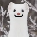 spiceywasabi