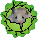 _mrhamster