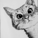 Avatar of Cookie
