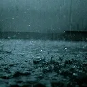 rainwalkers