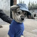 huhntr