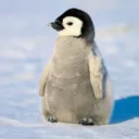 arkzockt