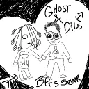 dilsdoes