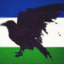 cascadiancrow