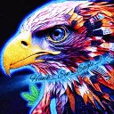 hawk_eye_eagle_l