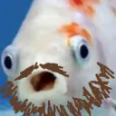 damsdeldrennon