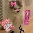 elliowo