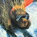 avatar Varsett