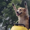 avatar uncontrollable kweff disorder