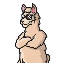 lazeellama