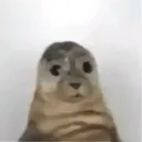 ldestinny