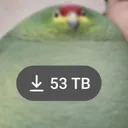 flyght8