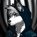donvoid