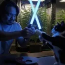 itsmydogg8934