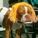 beastdawg82596