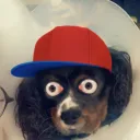 mwtotomazziz
