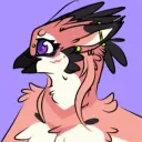 kitdeer