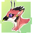 kitdeer