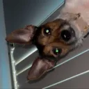 taydaddy_