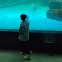 singingpoo