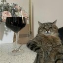 avatar Are you busy? Will you save us?