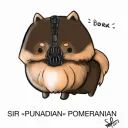 PomeranianCanadian avatar