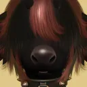 ziibly