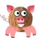 coconutpig