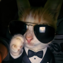 avatar 𝖘 𝖚 𝖕 𝖑 𝖆 𝖉 𝖔