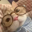 terimakichewt