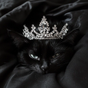 avatar 𝒩𝒶𝓃𝓃𝒶 ♡