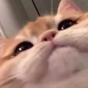 prslv