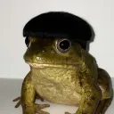 sojatanaca