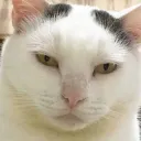nephiy
