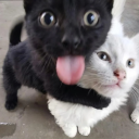 avatar T̶͈̆o̴͙͝B̵̘̚è̵̮A̷̡͘s̵̪̆s̶̿