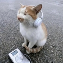 avatar T̶͈̆o̴͙͝B̵̘̚è̵̮A̷̡͘s̵̪̆s̶̿