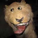 dytut