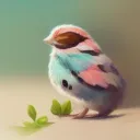 kitterskip