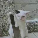 trashcanxdxd