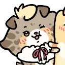 kaseypaws