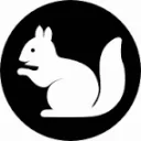 tomsquirrel