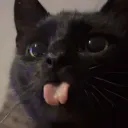moakaash
