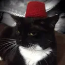 Bekaze's Discord profile picture