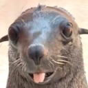 ltcopper