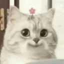 kaquaoify