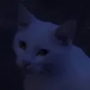 ook3d
