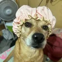 kazegawa