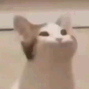 ffchanx