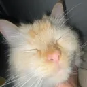 jacksonkb
