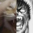 rahko